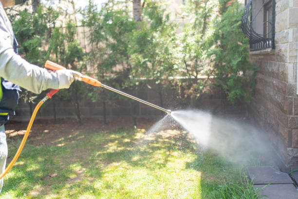 Professional Pest Control in West View, PA