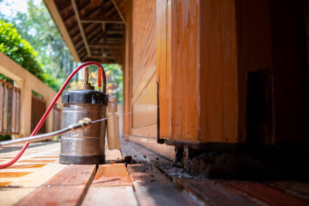 Best Pest Removal Services  in West View, PA