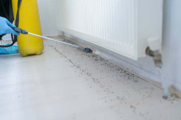 Best Commercial Pest Control Services  in West View, PA